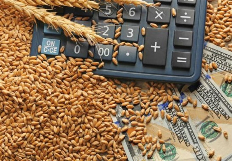 پرداخت ٧۴ درصد طلب کشاورزان گندمکار کرمانشاهی