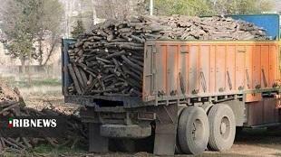 توقیف کامیون حامل ۵ تن چوب قاچاق درسلسله