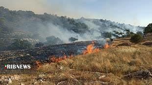 یک هزار هکتار جنگل و مرتع لرستان در آتش سوخت