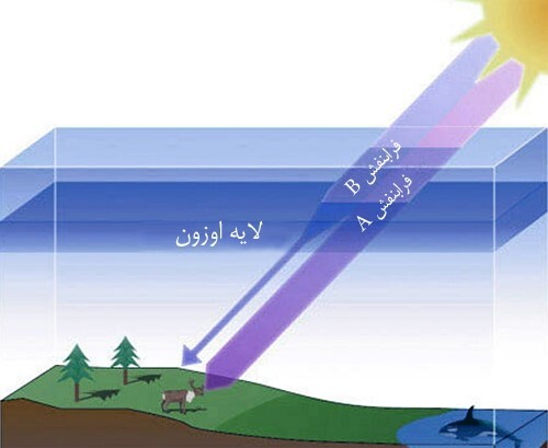 نقش فردی و اجتماعی ما در حفظ لایه ازن