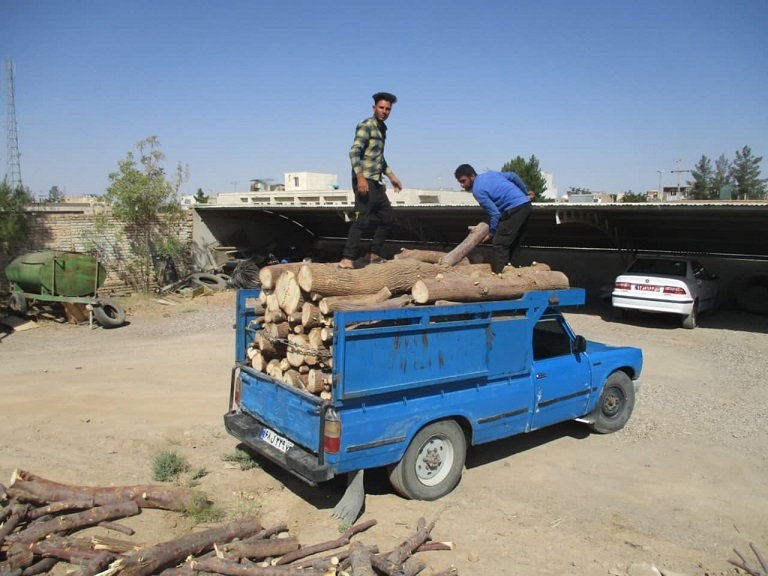 کشف حدود ۶ تن چوب قاچاق در شهرستان فردوس