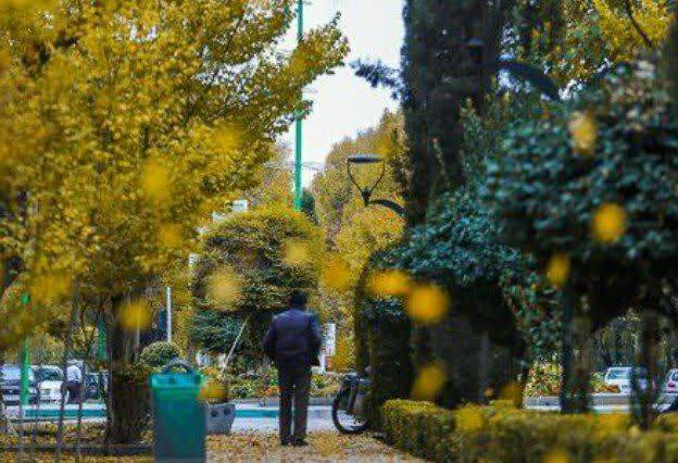 کم‌آبی؛ تنها عامل خزان و پاییز زودرس در اصفهان