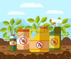 استفاده بی رویه از آفت کش‌های شیمیایی از دغدغه‌های مهم بخش کشاورزی