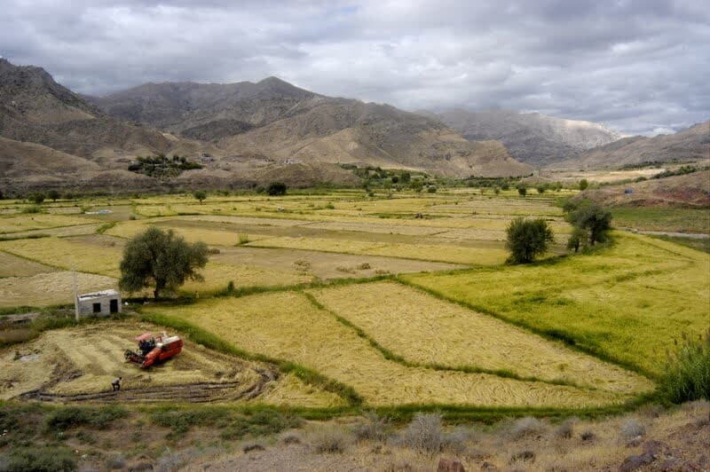 اتمام حجت مدیرکل ثبت اسناد یزد درباره پایان کاداستر زراعی تا آخر امسال