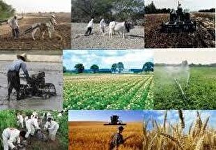 افتتاح و بهره‌برداری از ۲۳۰۰ طرح کشاورزی کشور در هفته دولت