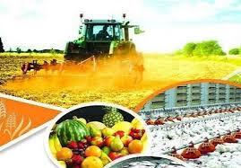 افتتاح ۳۰ پروژه کشاورزی در زنجان