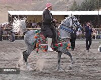 کردستان خاستگاه اسب کرد
