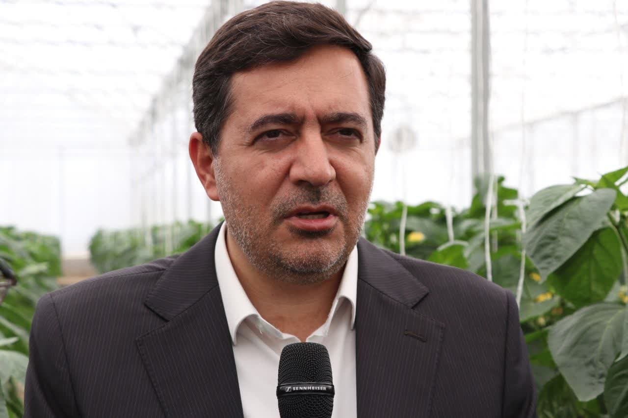 تسهیل فضای کسب و کار در فارس با توسعه گلخانه‌ها