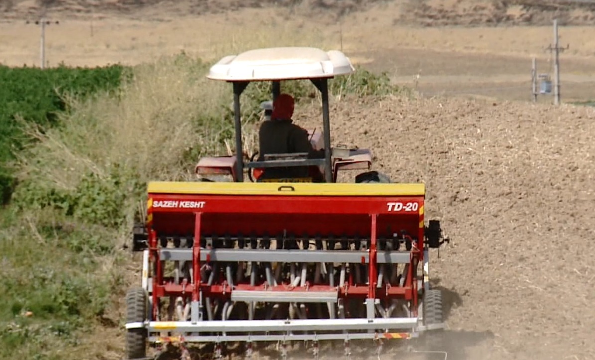 کشت محصولات زراعی پاییزه در کردستان آغاز شد