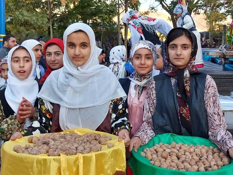 جشنواره ملی گردو در استان زنجان برگزار می‌شود