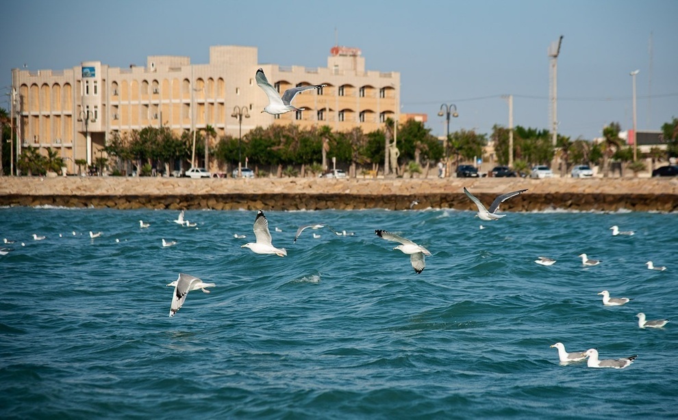 افزایش سرعت باد و خیزش گرد و خاک در بوشهر