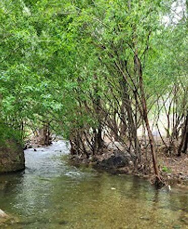 روستای سرهه با طبیعتی  بکر و مثال نزدنی