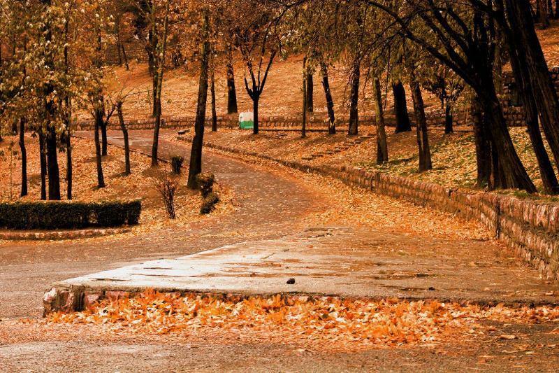 باران میهمان نورسیده پاییز قزوین