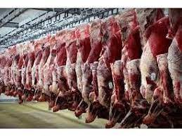 تولید هزار و ۳۵۸ تن گوشت قرمز در بابل