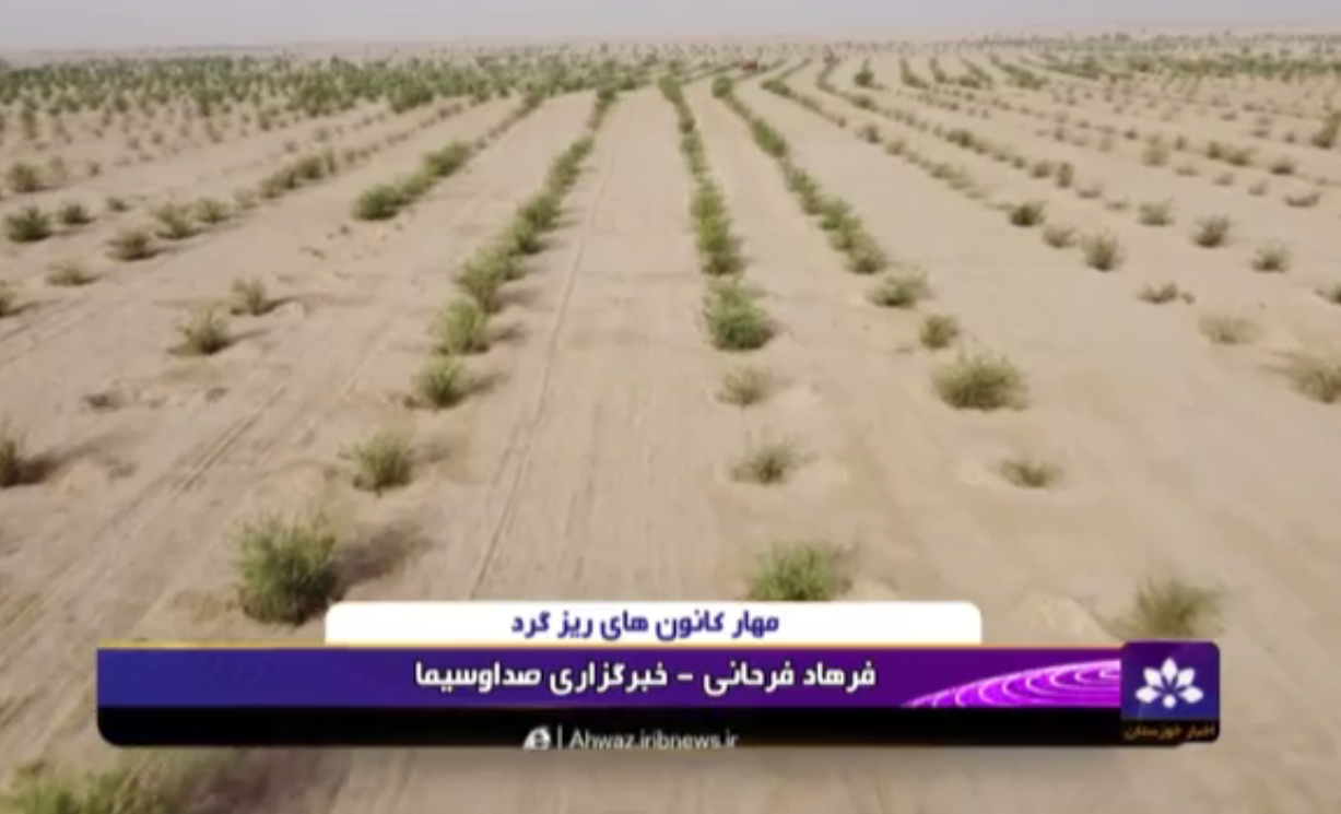 کاهش روز‌های خاکی در خوزستان با نهالکاری در کانون‌های گرد و غبار