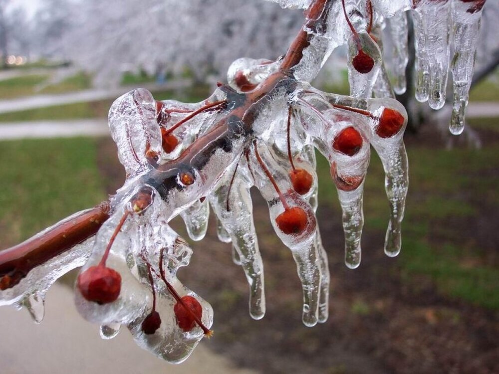 کاهش 6 درجه ای دمای هوا از جمعه