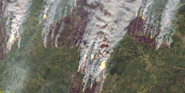 ادامه آتش سوزی جنگلی در بریتیش کلمبیا و آلبرتا کانادا