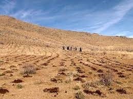 بذرکاری و کپه کاری ۲۳ هکتار از اراضی ملی شهرستان ششتمد
