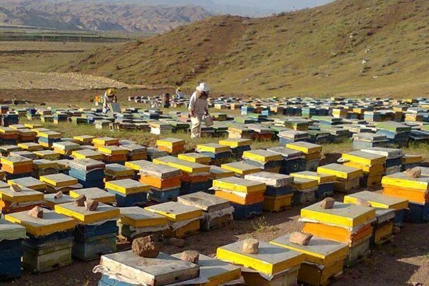 کوچ زنبور داران به جنوب فارس