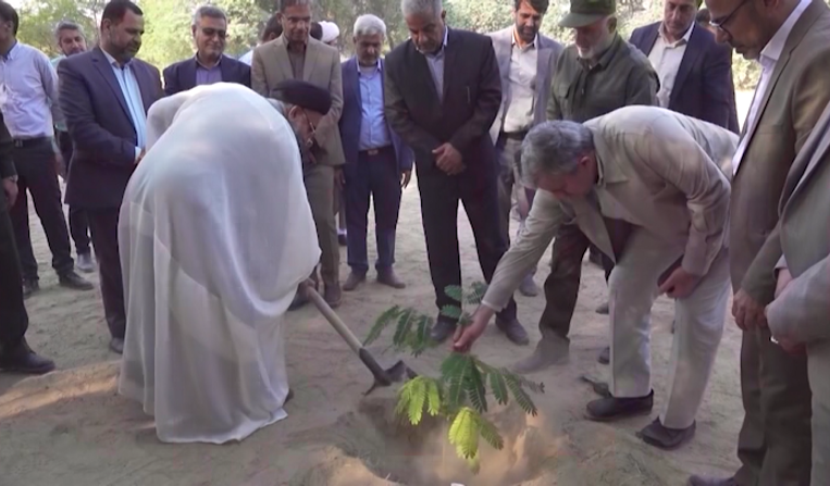 آغاز کشت نهال در استان بوشهر در طرح کاشت یک میلیارد درخت
