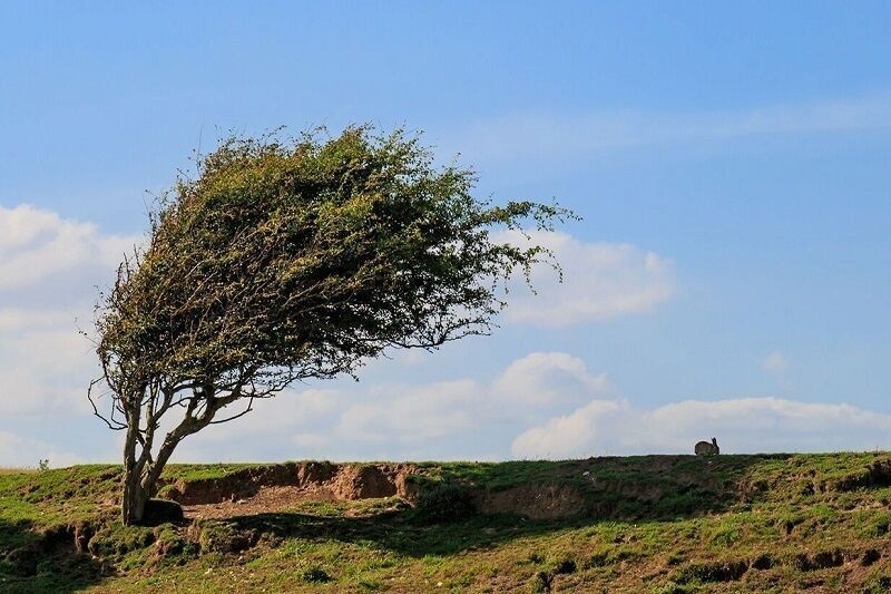 پیش بینی افزایش ابر و وزش باد در استان قزوین 