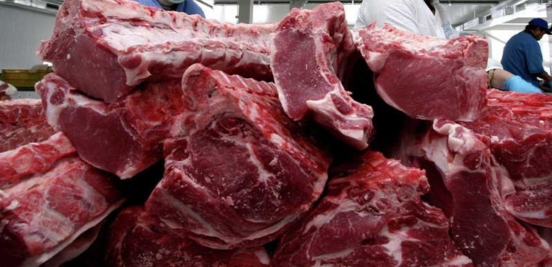افزایش تولید گوشت قرمز با آموزش دامداران گتوند