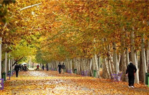 ایجاد ۷۲ معبر پاییزی در ۳۵ بوستان مشهد