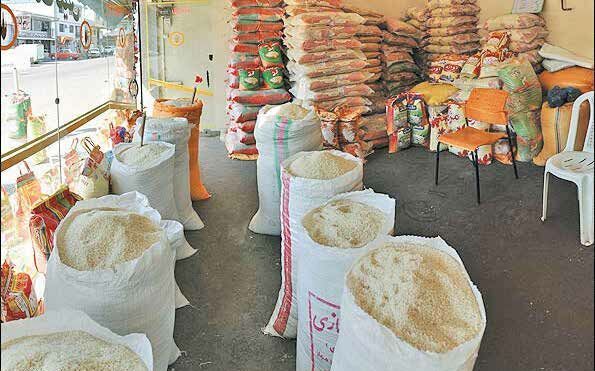 خرید ۲۶۰۰ تن برنج مازاد سال گذشته کشاورزان جویباری