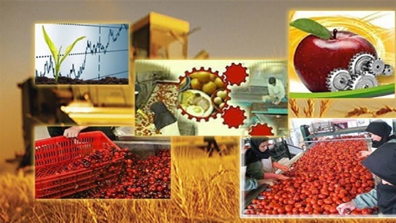 افزایش ظرفیت صنایع تبدیلی کشاورزی در آذربایجان شرقی