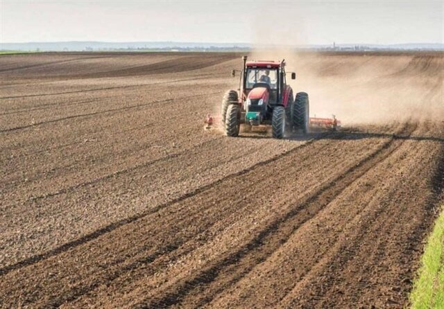 ۳۰۰ هزار هکتار از زمین‌های کشاورزی دیم گلستان تحت پوشش طرح جهش تولید