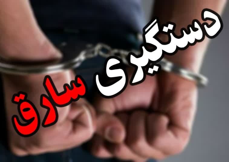 دستگیری سارق کابل برق در قاینات