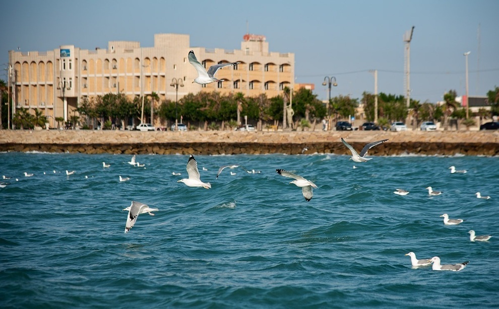 افزایش سرعت باد‌های جنوبی در سواحل بوشهر