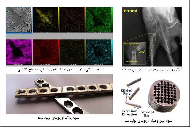 ساخت نوعی کاشتینه های جذبی با سبک‌ترین فلز دنیا