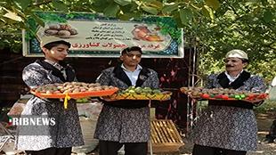 برگزاری نخستین جشنواره ملی گردو در شهرستان سلسله