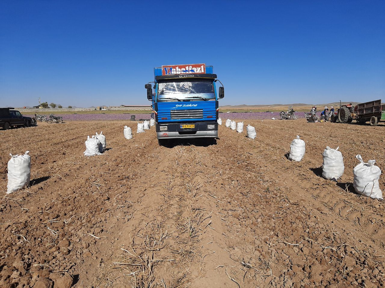 توزیع دهها هزار کیلوگرم سیب زمینی میان کارگران و اهالی روستایی در بخش رخ