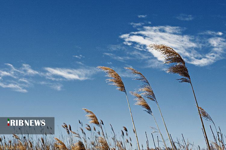 آسمانی ابری همراه با وزش باد در قم