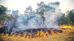 کاهش ۳۵۰ درصدی آتش‌سوزی مراتع شهرستان بهار
