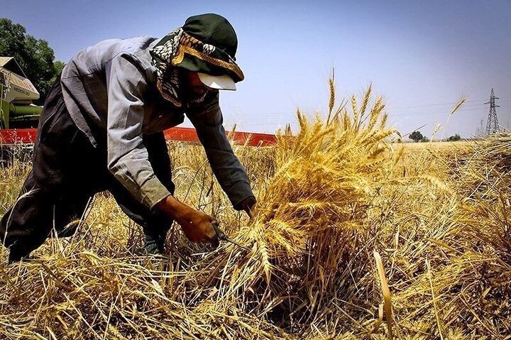 حذف واسطه‌ها و دلالان محصولات روستایی با سامانه هوشمند امور روستایی