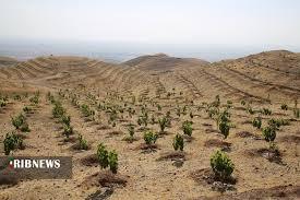 آغاز عملیات اصلاح و احیاء مرتع روستای ماربر بویین میاندشت