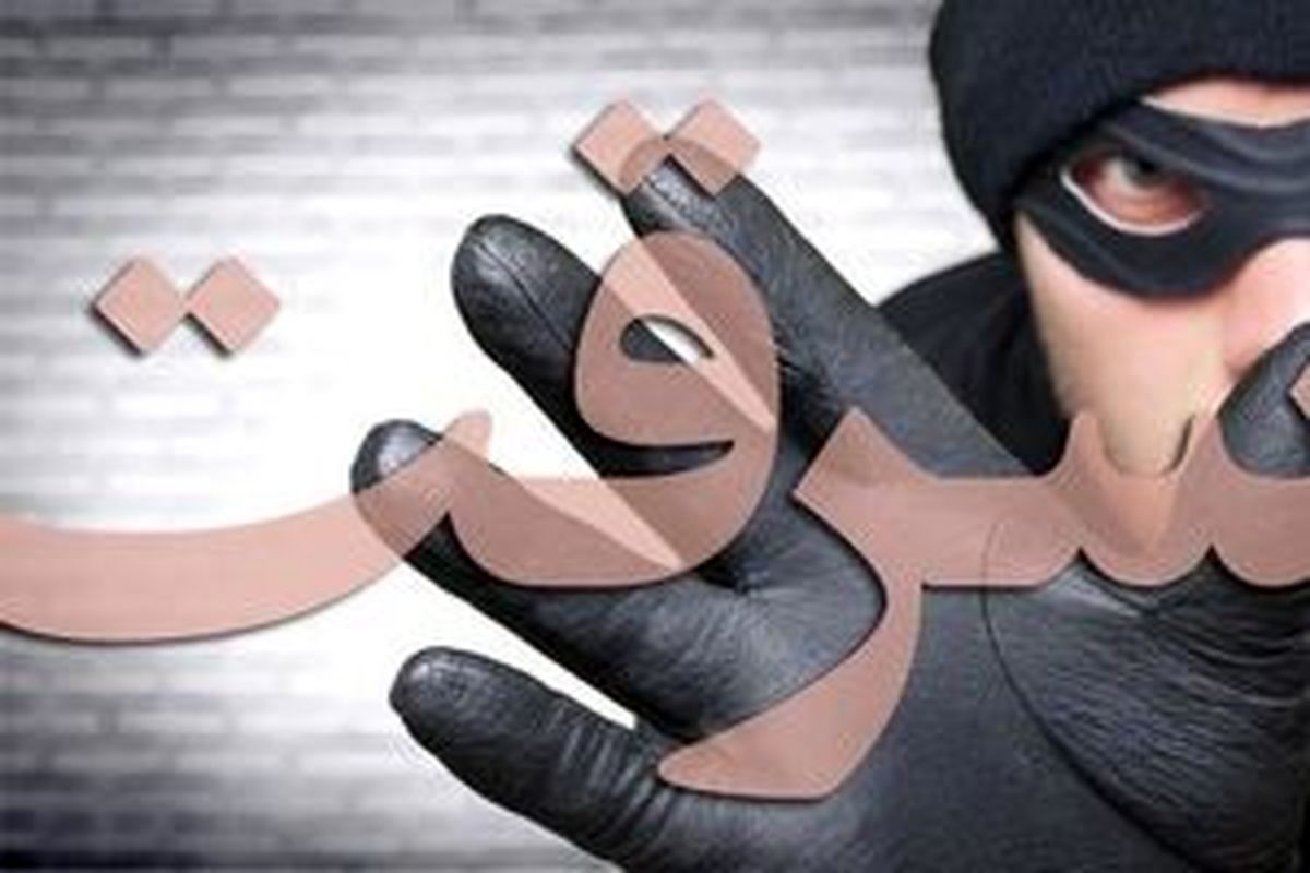 هشدار‌های پلیس برای پیشگیری از سرقت منزل 