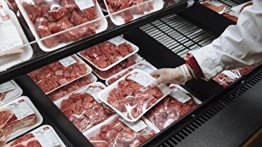 توزیع ۲ تن گوشت گرم تنظیم بازاری در همدان