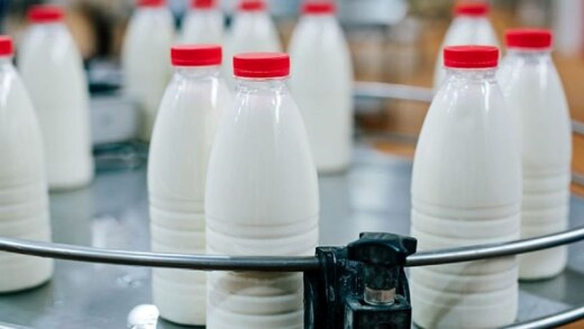 توزیع شیر رایگان در دو هزار و ۳۵۰ مدرسه ابتدایی دولتی استان