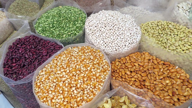 هفت هزار تن بذر گندم تولید دزفول آماده توزیع میان کشاورزان