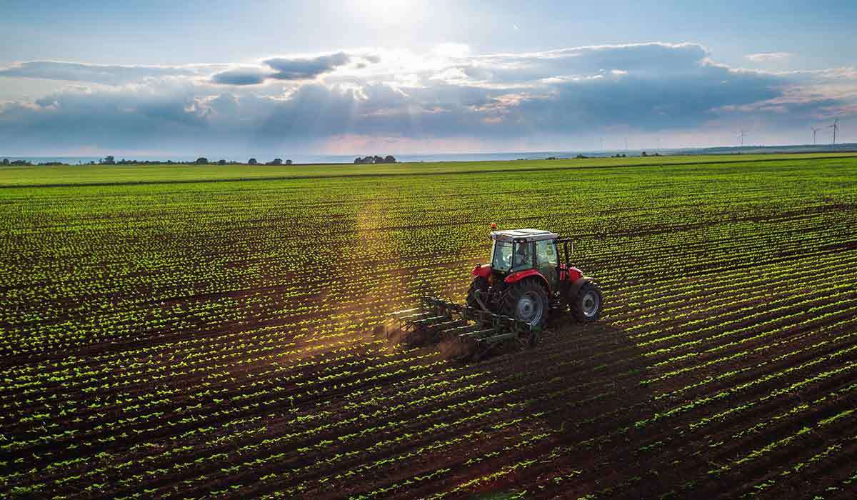 تولید بیش از ۵۰ درصد کل محصولات کشاورزی استان در دهلران