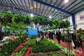 برگزاری نمایشگاه گل و گیاه و صنایع دستی در اهواز