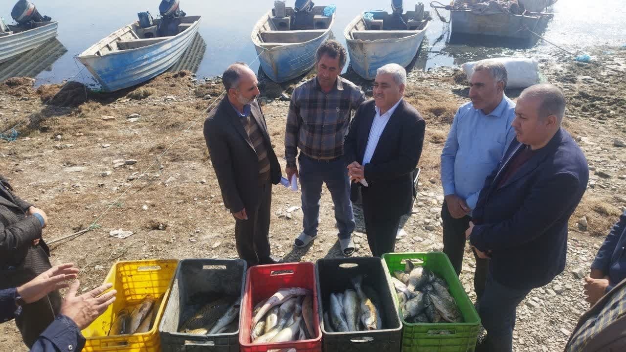 آذربایجان غربی؛ رتبه سوم کشوری در تولید ماهی