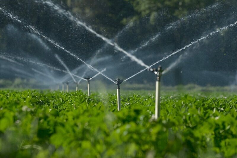 تامین آب بیش از ۱۱ هزار هکتار از کشت‌های پاییزه و زمستان دزفول