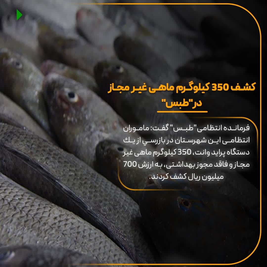 کشف ۳۵۰ کیلوگرم ماهی غیر مجاز در طبس