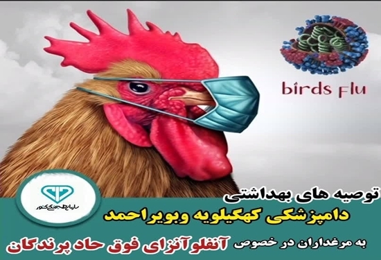 توصیه‌های بهداشتی دامپزشکی کهگیلویه وبویراحمد به مرغداران