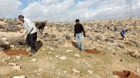 بذر کاری ۲۰۰ هکتار از مراتع نوده چناران بجنورد